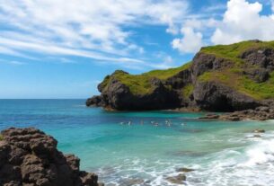 fernando-de-noronha-e-o-comportamento-surpreendente-dos-golfinhos